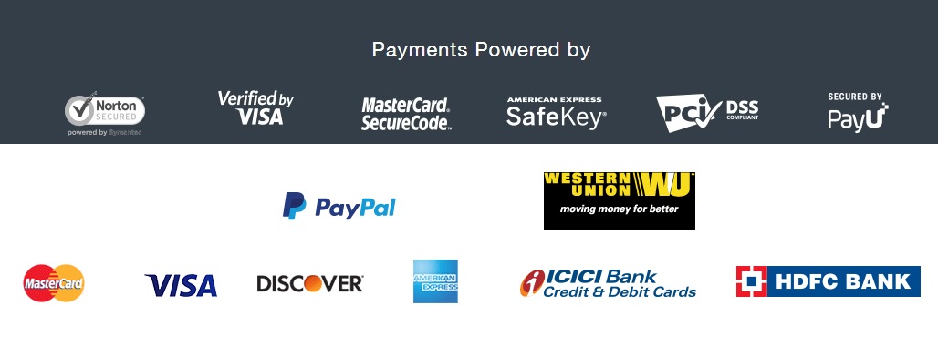 online payment options at ArtistryC