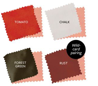 What to wear with shell - color guide
